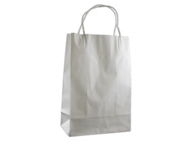 Small WHITE Twist Handle Paper Gift Bags Bundle/10