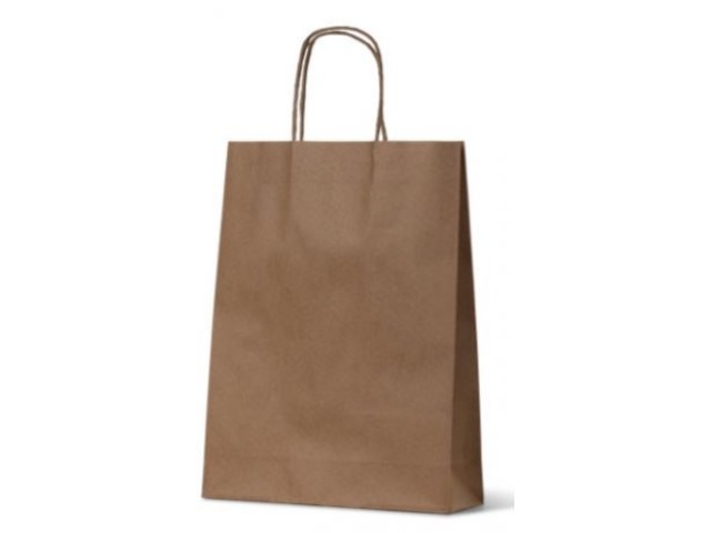 Large BROWN Twist Handle Paper Gift Bags Bundle/10