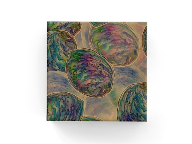 Gift Wrap Watercolour Paua On Kraft