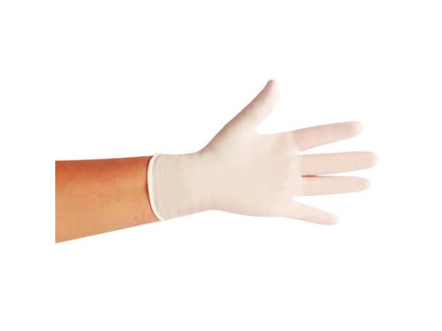 Medical Grade Disposable Latex P/F Large