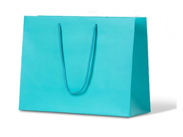 Medium AQUA Matte Laminate Carry Bag