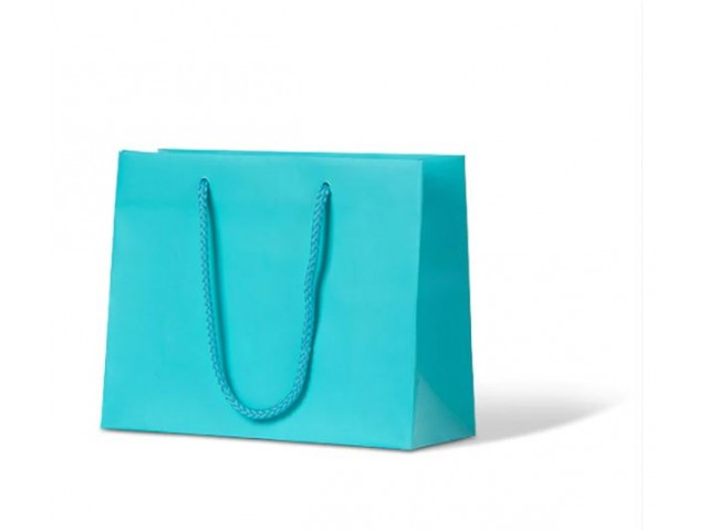 Small AQUA Matte Laminate Carry Bag
