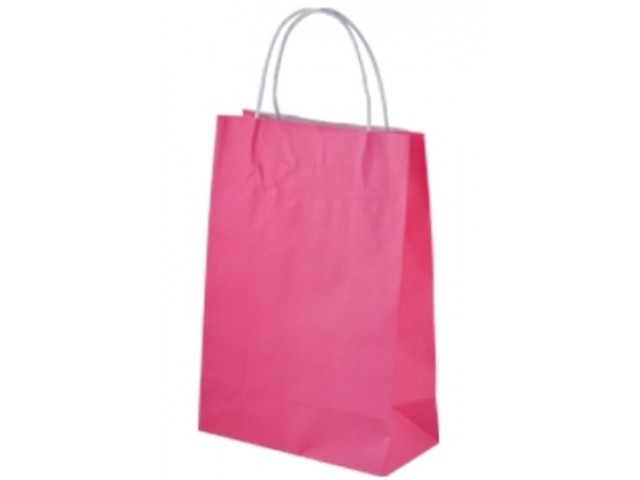 Small PINK Twist Handle Paper Gift Bags Bundle/10