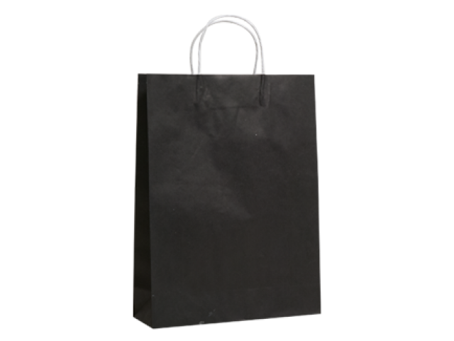Large BLACK Twist Handle Paper Gift Bags Bundle/10