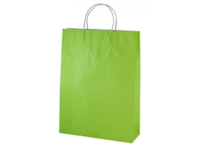 Large LIME Twist Handle Paper Gift Bags Bundle/10